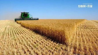 浙江來淘信息科技 互聯(lián)網(wǎng)+農(nóng)業(yè)的六種實(shí)現(xiàn)途徑及農(nóng)業(yè)信息咨詢新范式